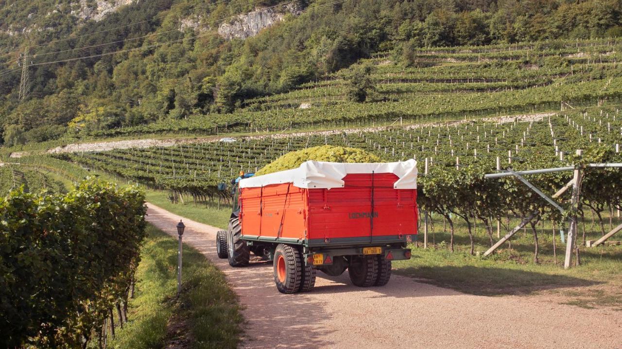 Agritur Al Vigneto Panzió Trento Kültér fotó