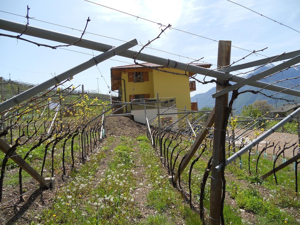 Agritur Al Vigneto Panzió Trento Kültér fotó