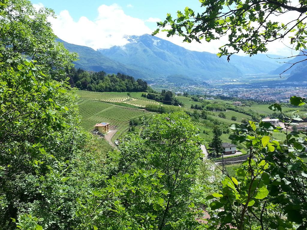 Agritur Al Vigneto Panzió Trento Kültér fotó