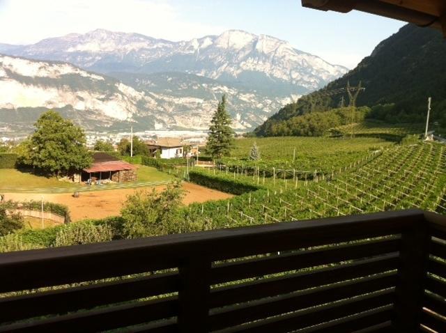 Agritur Al Vigneto Panzió Trento Kültér fotó